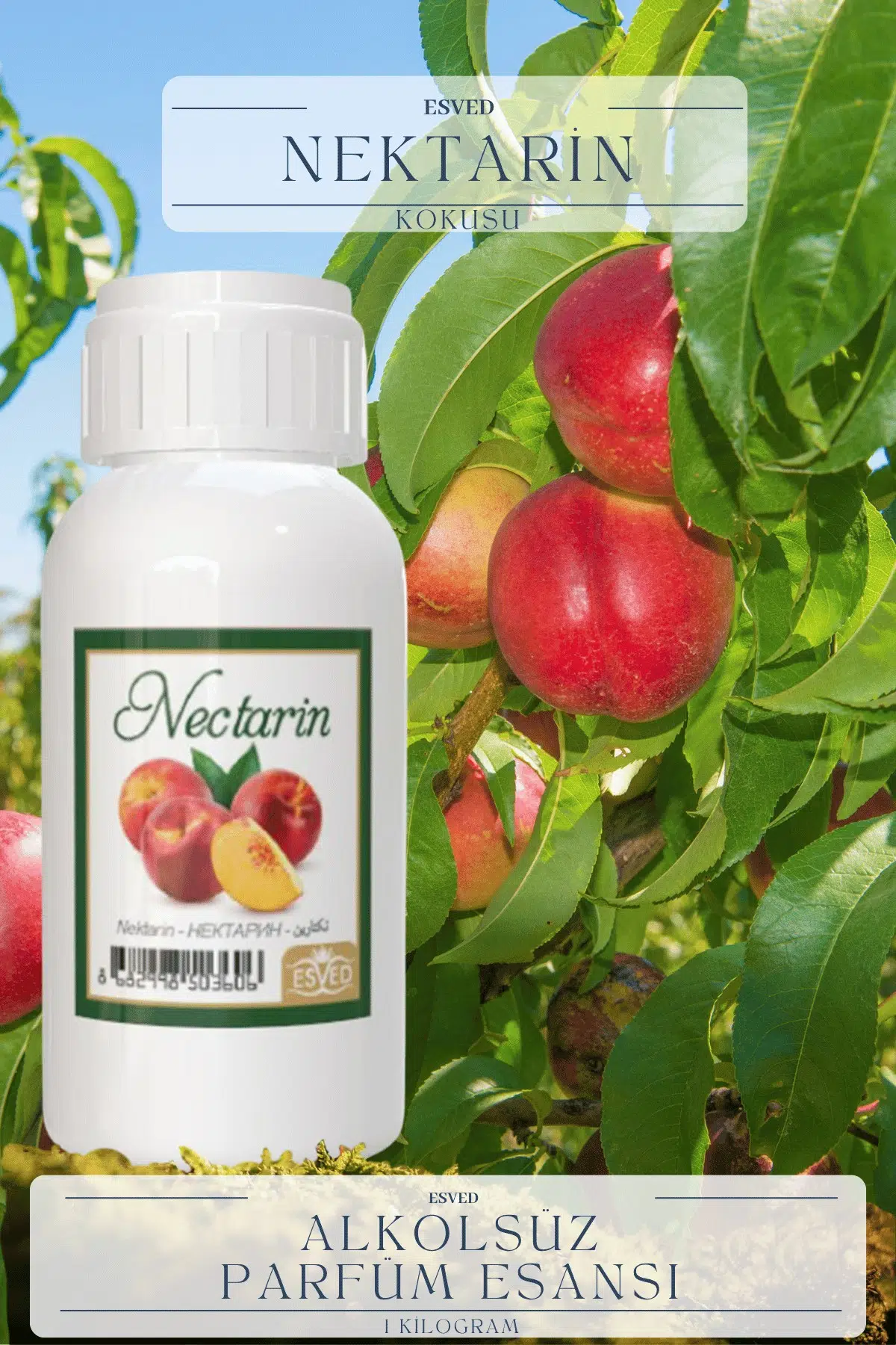 Nektarin Kokusu Toptan Parfüm Esansı 1 Kilogram